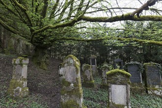 Jewish cemetery from the 18th century, weathered gravestones, Sulzburg, Markgräflerland, Upper