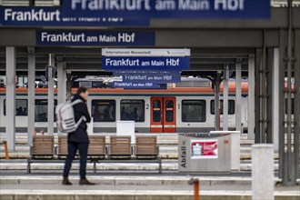 Platforms at Frankfurt am Main Central Station, Hesse, Germany, Europe