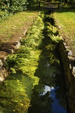 The Rothbächer Teich is an artificial pond created in the 16th century and part of the Freiberg