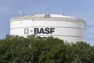 BASF, Lugwigshafen am Rhein, industrial area, Mannheim, Baden-Württemberg, Germany, Europe