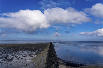 The Wadden Sea, East Frisia, between Bensersiel and Neuharlingersiel, Breakwater behind the dyke,