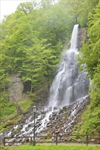 The Trusetal Waterfall is the highest waterfall in the Thuringian Forest. It is located in the town