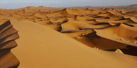 Sand dunes, Erg Chebbi, Sahara, Southern Morocco, Morocco, Africa