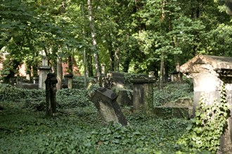 The Elias Cemetery in Dresden is considered to be the city's most culturally and historically