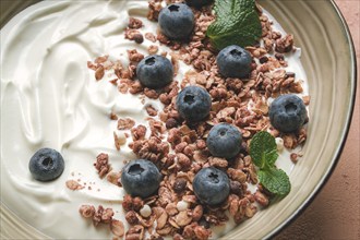 Yogurt with chocolate muesli, with berries, blueberries, breakfast, close-up, fork on top, no