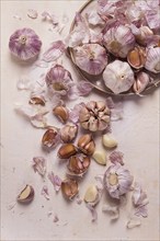 Fresh garlic on a white background, top view, food concept