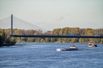 Friedrich Ebert Bridge over the Rhine near Bonn, also known as the North Bridge, motorway bridge on