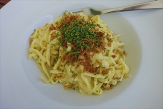 Swabian cuisine, traditional cuisine, home cooking, typical Swabian, hearty, Kässpätzle with