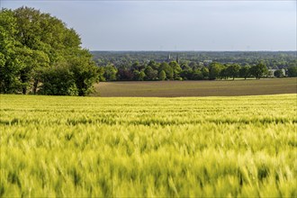 Sonsbeck Switzerland, a part of the Lower Rhine mountain range, an end moraine pushed up during the