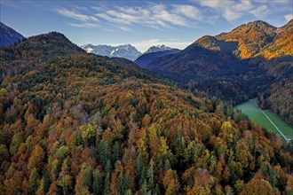 Aerial view of a mountain landscape in autumn, trees, morning light, view of Zugspitze and Bavarian