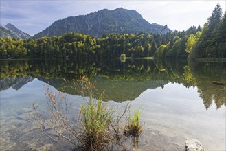 Freibergsee, behind it the Heni-Klopfer ski jump, Allgäu Alps, Allgäu, Bavaria, Germany, Europe