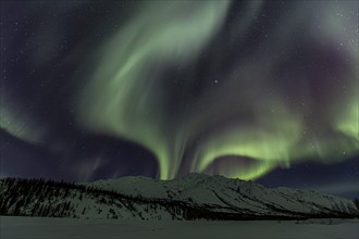 Green, yellow and purple northern lights (aurora borealis) over snowy mountains, Brooks Range,