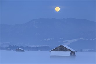 Wooden hut, snow, winter, fog, twilight, moon, full moon, Loisach-Lake Kochel-Moor, Bavaria,