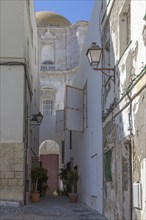 Narrow alley in Cadiz old town, Andalusia, Spain, Europe