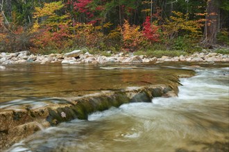 A river flows through a landscape with colourful autumn trees and stones on the banks, the leaves