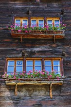 Old wooden house with flower boxes in front of the windows, historic village centre, Grimentz, Val