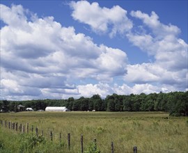 Dairy farm building in field in summer, St-Ambroise, Lanaudiere, Quebec, Canada, North America