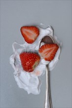 Strawberries with cream on a spoon