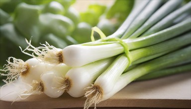 Vegetable, spring onion or spring onion, also known as winter onion, Allium fistulosum