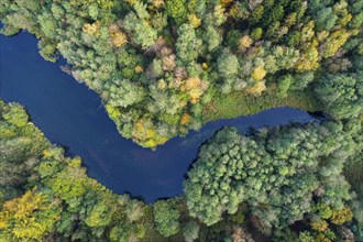 Mixed forest in autumn, colouring, aerial view, forest, autumnal, Ahlhorn fish ponds,