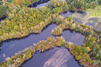 Mixed forest in autumn, colouring, aerial view, forest, autumnal, Ahlhorn fish ponds,