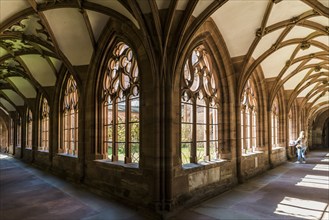 Cloister, Basel Minster, Basel, Canton of Basel-Stadt, Switzerland, Europe