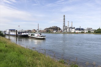 BASF, Lugwigshafen am Rhein, industrial area, ships, Mannheim, Baden-Württemberg, Germany, Europe