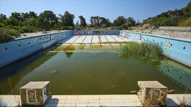 Abandoned swimming pool with graffiti and algae-filled water, surrounded by trees on a sunny day,