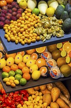 Exotic fruits, lychee, jackfruit, dragon fruit, mango and citrus fruits presented on a table,