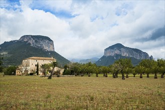 Finca, near Alaró, Serra de Tramuntana, Majorca, Balearic Islands, Spain, Europe