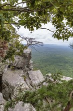 Overlook along the Pulpit Rock Trail in Cheaha State Park, Alabama, USA, North America