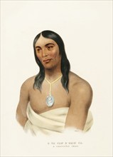 Indians, Historical Indian tribes from North America, Charles Bird King (1785, 1862), Historical,