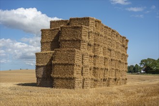 Pile of rectangular straw bales at Ystad, Skåne county, Sweden, Scandinavia, Europe