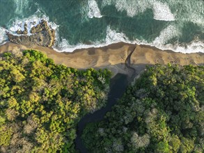 Aerial view, top-down, rainforest, sandy beach and coast with waves, Playa Cocalito, Puntarenas,