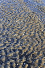 Morning atmosphere on the beach of the Baltic Sea, September, Usedom, Mecklenburg-Western