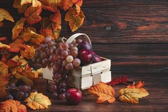 Grapes and plums in a wooden basket surrounded by autumn leaves on a table