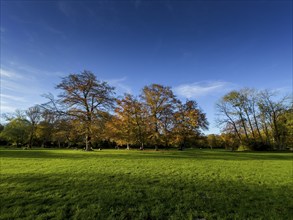 Autumn atmosphere in the English Garden, Munich, Bavaria, Germany, Europe