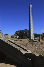 Tigray region, in the stele park of Axum, Aksum, ancient cemetery of the Axumite kings, Ethiopia,