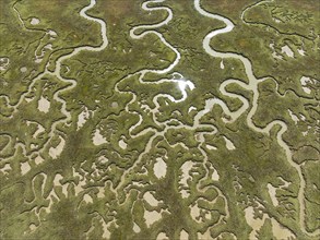 Network of channels and streams at low tide. In the marshland of the Piedras River. Aerial view.