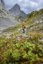 A mountaineer on a hiking trail with lush green vegetation, hiking trail to the Wolayerseehütte,