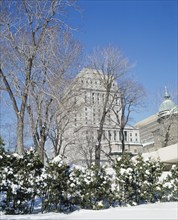 Sunlife insurance building through park in winter, Montreal, Quebec, Canada, North America