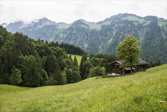 Mountain farming village, Gerstruben, Dietersbachtal, near Oberstdorf, Allgäu Alps, Allgäu,