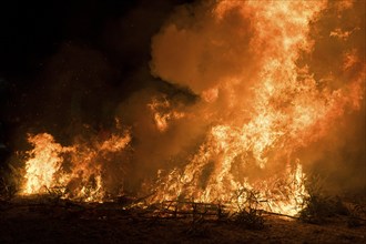 Environmental pollution, fire from discarded Christmas trees, Ostfildern-Plieningen,