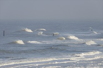 Outgoing waves on the northern beach, boundary piles, sea fog over the North Sea, Norderney, East