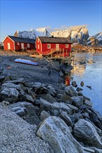 Red wooden house at fjord in front of Bergen, morning light, winter, Reine, Moskenesoya, Lofoten,