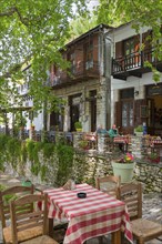 Cosy village ambience with café tables on a stone wall lined with plants, Makrinitsa, Balcony of