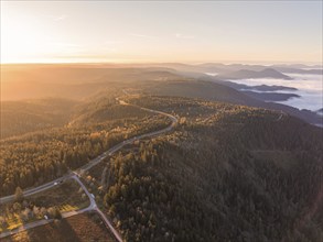 A winding road winds through dense forests in a misty mountain landscape, Black Forest, Germany,