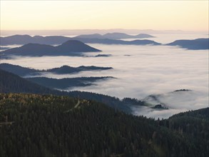 Misty mountains and forests at dawn, covered by fog, Black Forest, Germany, Europe