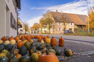 Village street with many pumpkins and autumnal trees, quiet landscape, Jettingen, Black Forest,