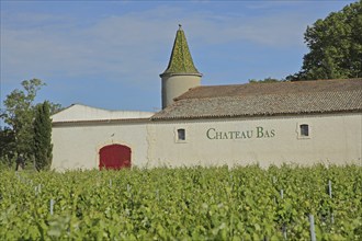 Winery Château Bas, Vernègues, vineyard, vineyards, Chateau, Vernegues, Bouches-du-Rhône, Provence,